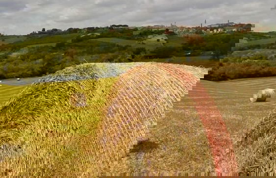 Agriturismo La Corte del Sole - Photo 69