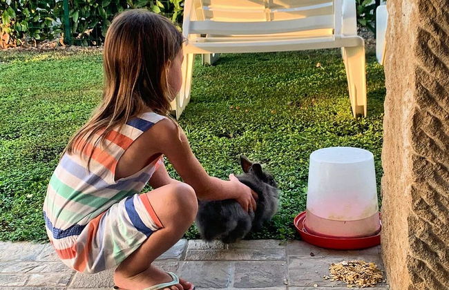 Appartamento Palazzeta With Pool, Near the Sea - Foto 64