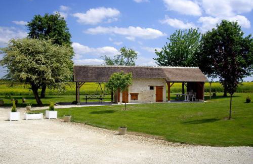 Gîte familial 12 pers. proche Valençay, ZooParc de Beauval et Châteaux de la Loire, parc arboré et jeux - FR-1-591-113 - Foto 4