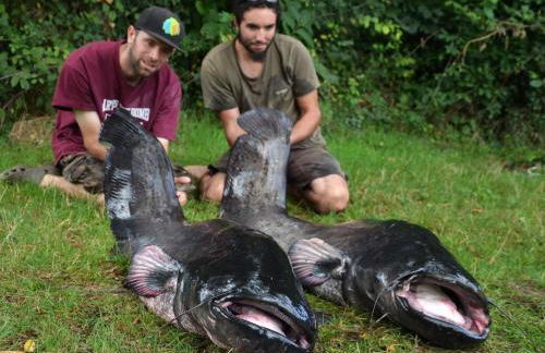 Holiday Home Haus freistehend Sonne Bett 160cm Patio billig by Interhome - Foto 42