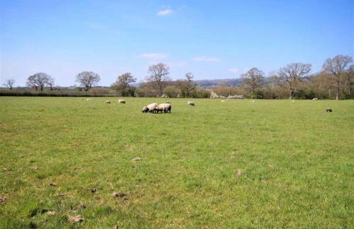 Luxury Barn near Wells - Pool, Gym - Foto 43