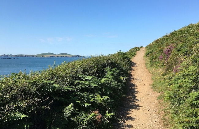 Upper Porthmawr - 5 Bedroom Cottage - Whitesands - Foto 19