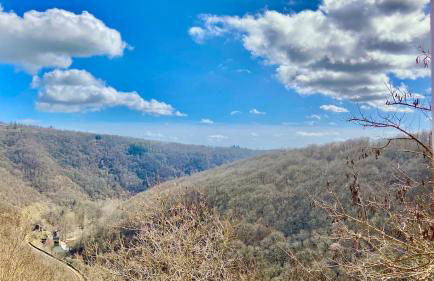 Lou Cambrou - Photo 19