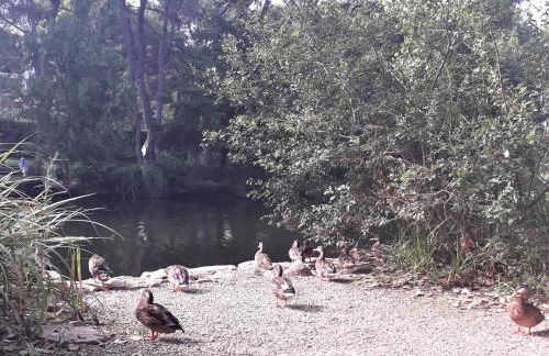 Domaine de La Coudouliere, Vue Mer, Plage, Piscine et Parc - Foto 66