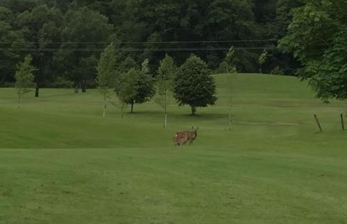 Finn Cottage - Foto 26