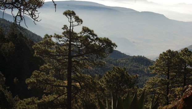 Hiking in the Sierra Norte in Oaxaca - Foto 5