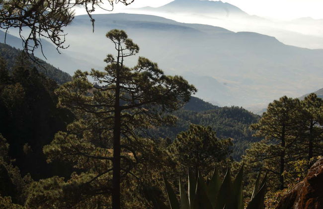 Hiking in the Sierra Norte in Oaxaca - Foto 3