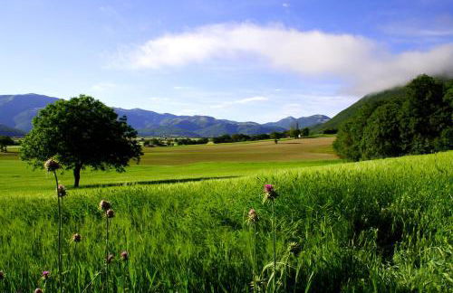 Agriturismo La Cascina di Opaco - Foto 21