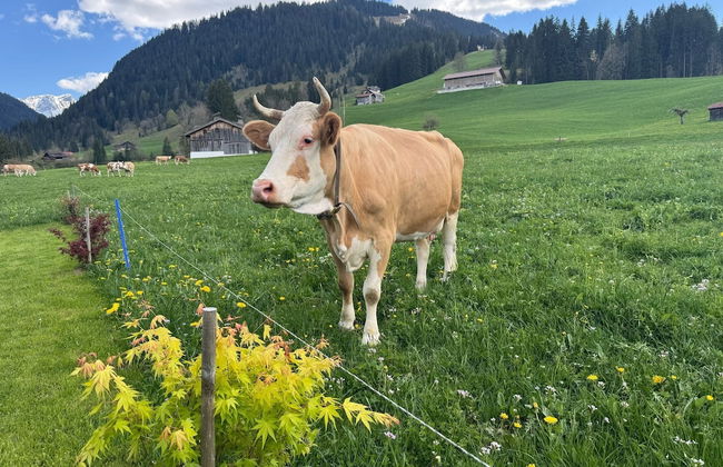 Alpenchalet Weidhaus - Foto 79