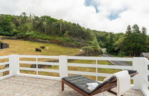 Casa da Figueirinha - Photo 11