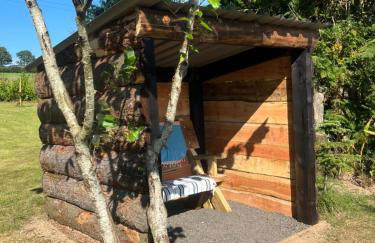 Swallows Return - Foto 9