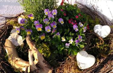 Ferienwohnung Just - Photo 8