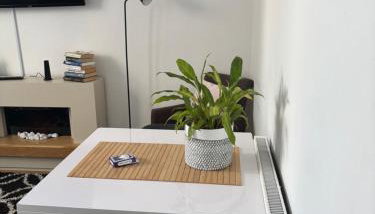 The garden flat - Photo 2