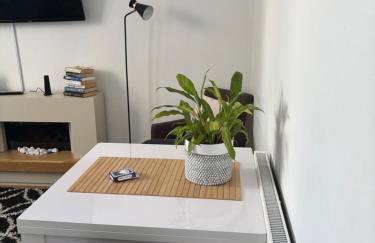 The garden flat - Photo 2