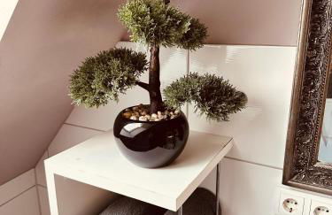 Lieblingsbude Schwerin - Foto 15