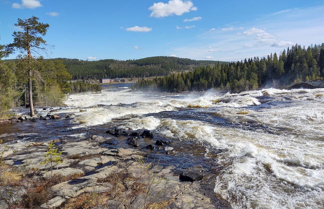 Lagomhuset - A Peaceful Holiday In Swedish Lapland - Photo 17