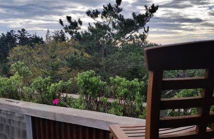 Amazing Getaway Oceanview with treehouse feel - Foto 11