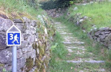 Residenza Le Camelie - Foto 43