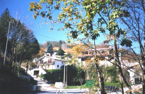 Ciclaminis - Photo 2