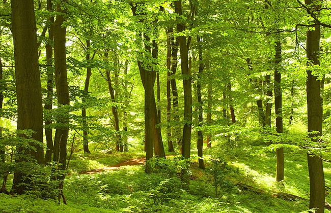 4 Person Holiday Home in Grimeton - Photo 8