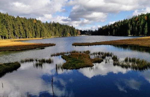 Helle Wohnung S-Bahnnähe München - Foto 45
