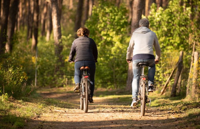 Seepark Heidenholz, Plau am See - Foto 30
