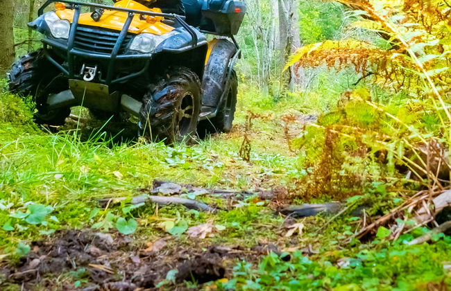 Tour in Villa de Leyva - Photo 6