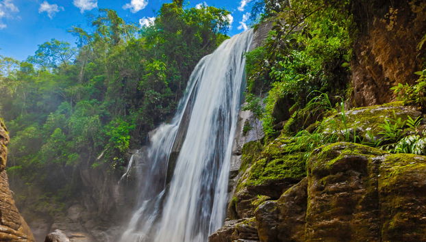 Perene Valley + Chanchamayo Waterfalls Tour - Foto 4