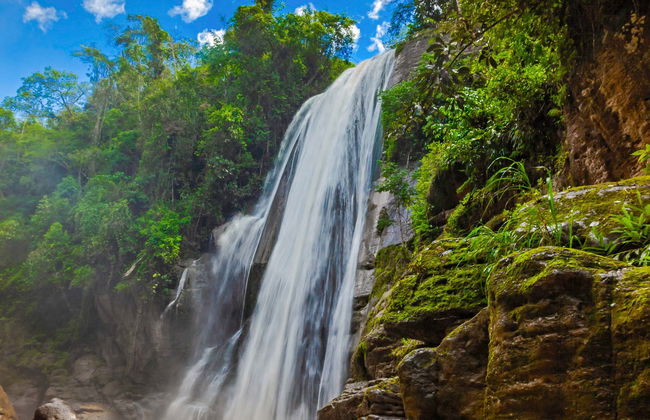 Tour por el valle del Perené y cataratas de Chanchamayo - Foto 4