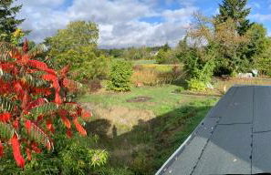 Villa Roystein Gästehaus - Foto 23