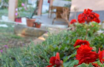 Apartment Ines - Foto 32