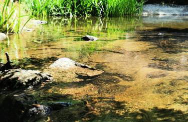 O Refúgio - Foto 63