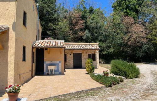 Vineyard Farmhouse in Massignano - Foto 11