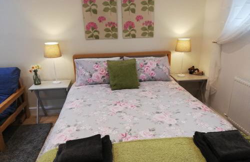 Rosehips at Kerensa, Naburn - Foto 4