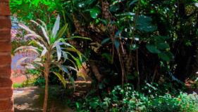 LUMA - Casa de Hospedaria - Foto 5, Garden view