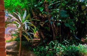 LUMA - Casa de Hospedaria - Foto 5