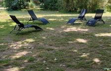 Mas provençal authentique XXL avec grande piscine, terrain de pétanque et parc privé - Foto 25