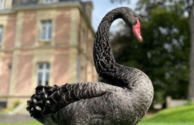 Château Côte de Nacre - Foto 74
