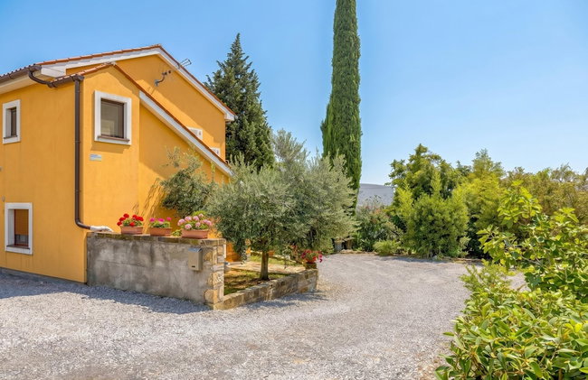 House In The Vineyards - Foto 21