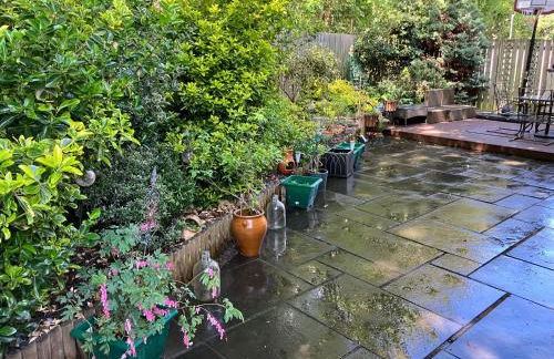 The White House - Foto 53