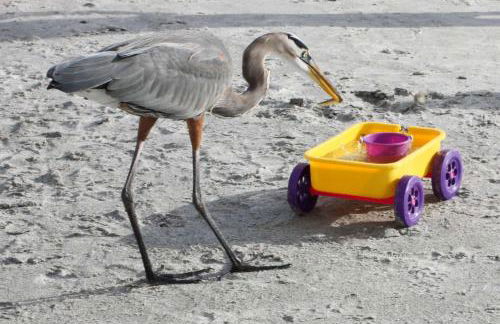 204 - Royal Orleans - Foto 31