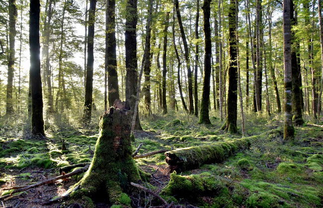 The Lord of the Rings Tour - Photo 5