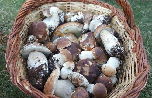 Les Forques de'n Pep - Foto 23