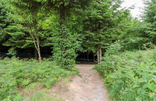 Forestside View - Photo 67