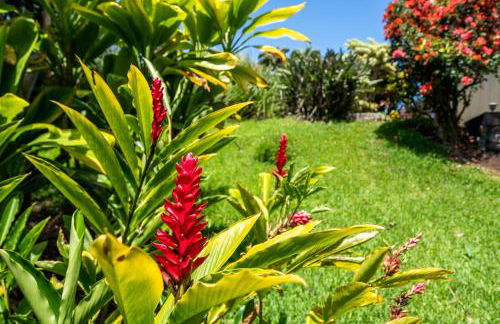 2 Mi to Hana Hwy Haiku Home with Ocean Views! - Foto 39