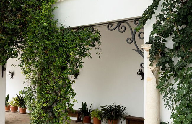 Cortijo de Guerra - Foto 16