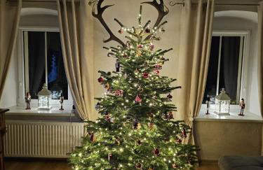 Dom Pod Dębem Agroturystyka - Foto 36