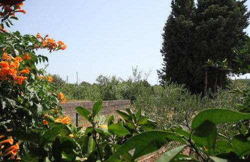 Studio Susica 8265a - Foto 17