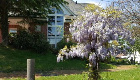 Fewo-Seither - Foto 5