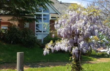 Fewo-Seither - Foto 5